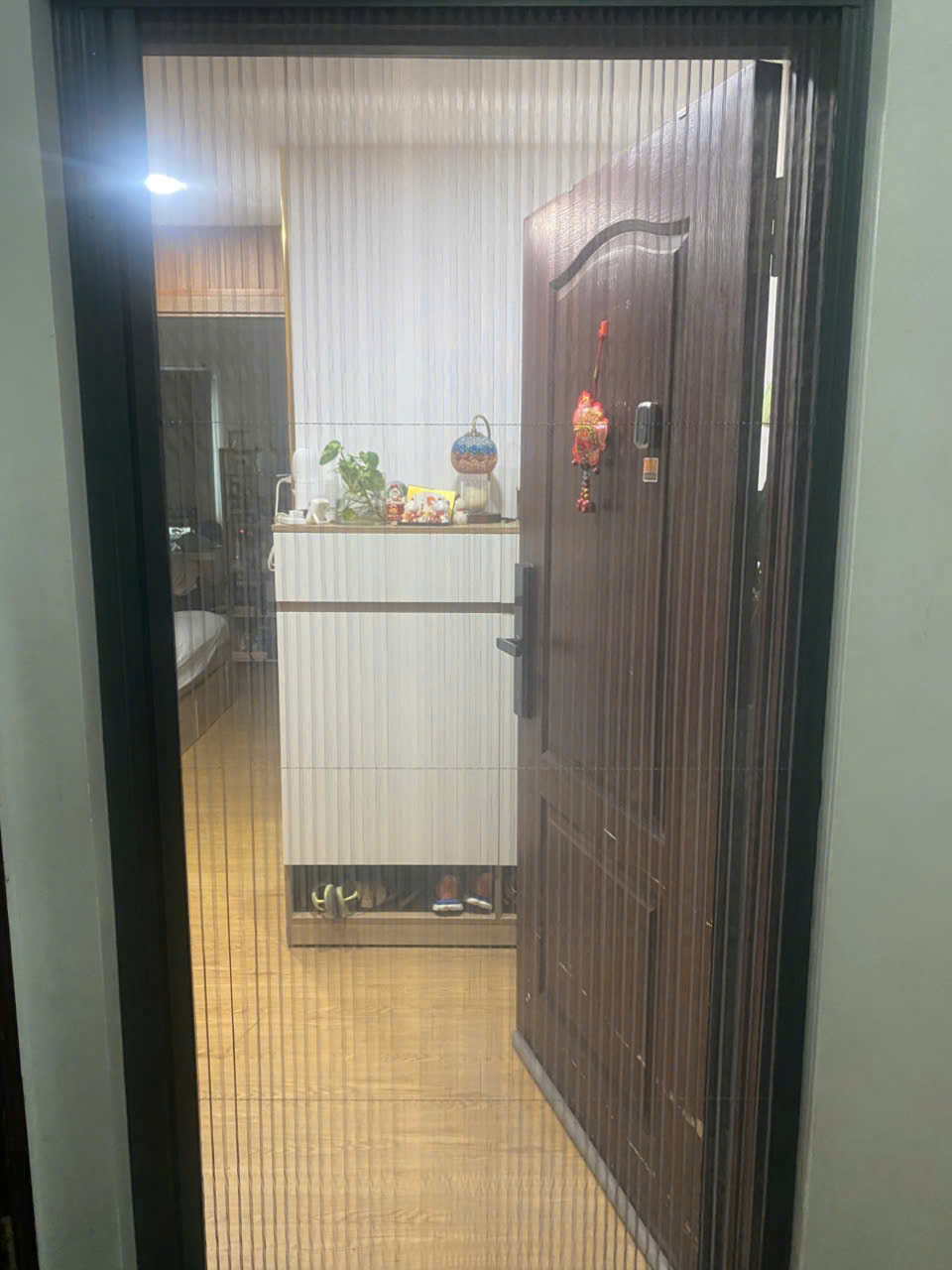 CỬA LƯỚI CHỐNG MUỖI 1